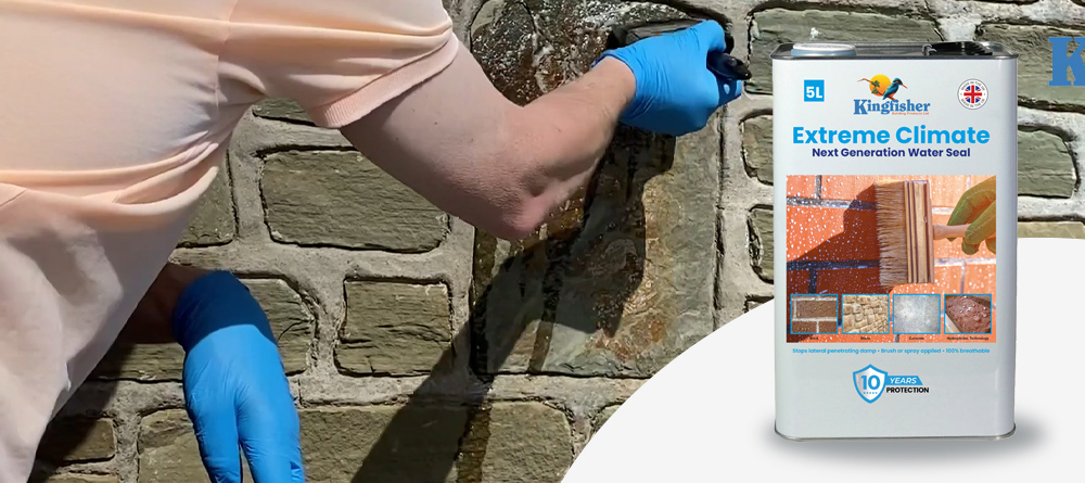 How to Fix Damp Walls: Causes, Treatments & Solutions