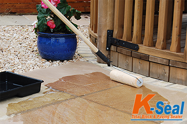 5 Essential Reasons Why Paver Sealing Protects Your Investment (Complete Guide)